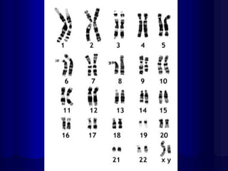 Mazen Zaharna Molecular
Biology 1/2009

 
