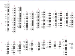 Mazen Zaharna Molecular
Biology 1/2009

 