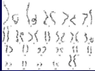 Mazen Zaharna Molecular
Biology 1/2009

 