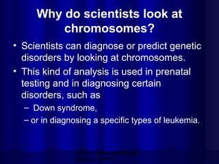 Why do scientists look at
chromosomes?
• Scientists can diagnose or predict genetic
disorders by looking at chromosomes.
• This kind of analysis is used in prenatal
testing and in diagnosing certain
disorders, such as
– Down syndrome,
– or in diagnosing a specific types of leukemia.

Mazen Zaharna Molecular
Biology 1/2009

 