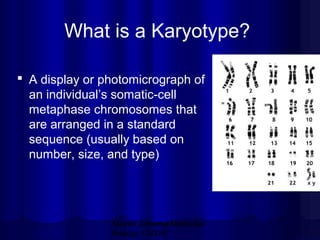What is a Karyotype?
 A display or photomicrograph of
an individual’s somatic-cell
metaphase chromosomes that
are arranged in a standard
sequence (usually based on
number, size, and type)

Mazen Zaharna Molecular
Biology 1/2009

 