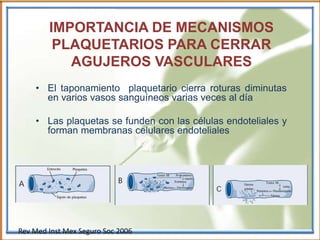 IMPORTANCIA DE MECANISMOS
PLAQUETARIOS PARA CERRAR
AGUJEROS VASCULARES
• El taponamiento plaquetario cierra roturas diminutas
en varios vasos sanguíneos varias veces al día
• Las plaquetas se funden con las células endoteliales y
forman membranas celulares endoteliales
Rev Med Inst Mex Seguro Soc 2006
 