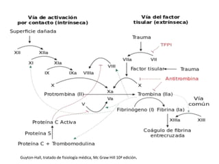 Guyton-Hall, tratado de fisiología médica, Mc Graw Hill 10ª edición.
 