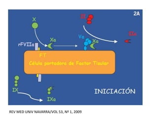 REV MED UNIV NAVARRA/VOL 53, Nº 1, 2009
 