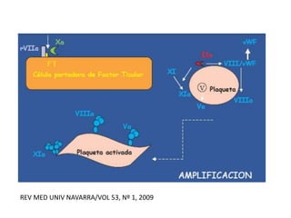 REV MED UNIV NAVARRA/VOL 53, Nº 1, 2009
 