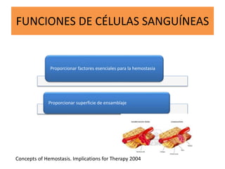 FUNCIONES DE CÉLULAS SANGUÍNEAS
Proporcionar factores esenciales para la hemostasia
Proporcionar superficie de ensamblaje
Concepts of Hemostasis. Implications for Therapy 2004
 