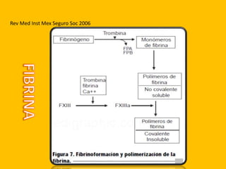 Rev Med Inst Mex Seguro Soc 2006
 