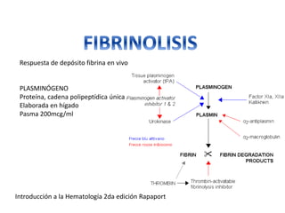 Respuesta de depósito fibrina en vivo
PLASMINÓGENO
Proteína, cadena polipeptídica única
Elaborada en hígado
Pasma 200mcg/ml
Introducción a la Hematología 2da edición Rapaport
 