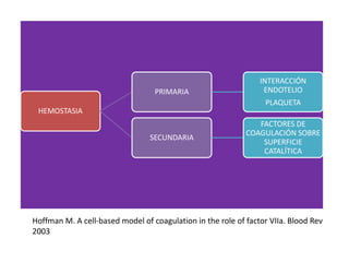 HEMOSTASIA
PRIMARIA
INTERACCIÓN
ENDOTELIO
PLAQUETA
SECUNDARIA
FACTORES DE
COAGULACIÓN SOBRE
SUPERFICIE
CATALÍTICA
Hoffman M. A cell-based model of coagulation in the role of factor VIIa. Blood Rev
2003
 
