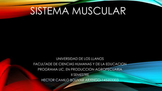 SISTEMA MUSCULAR
UNIVERSIDAD DE LOS LLANOS
FACULTADE DE CIENCIAS HUMANAS Y DE LA EDUCACION
PROGRAMA LIC. EN PRODUCCION AGROPECUARIA
II SEMESTRE
HECTOR CAMILO BOLIVAR ARANGO-145203303
 