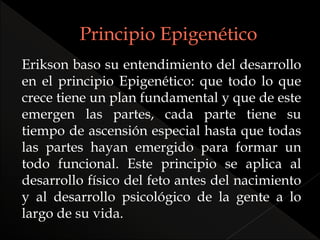 Erikson baso su entendimiento del desarrollo
en el principio Epigenético: que todo lo que
crece tiene un plan fundamental y que de este
emergen las partes, cada parte tiene su
tiempo de ascensión especial hasta que todas
las partes hayan emergido para formar un
todo funcional. Este principio se aplica al
desarrollo físico del feto antes del nacimiento
y al desarrollo psicológico de la gente a lo
largo de su vida.
 