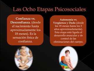 Confianza vs.
Desconfianza. (desde
el nacimiento hasta
aproximadamente los
18 meses). Es la
sensación física de
confianza.
Autonomía vs.
Vergüenza y Duda (desde
los 18 meses hasta los 3
años aproximadamente).
Esta etapa está ligada al
desarrollo muscular y de
control de las
eliminaciones del cuerpo.
 