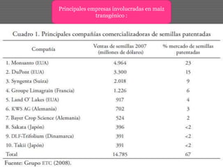 Principales empresas involucradas en maíz
transgénico :
 