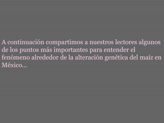 A continuación compartimos a nuestros lectores algunos
de los puntos más importantes para entender el
fenómeno alrededor de la alteración genética del maíz en
México…
 