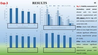 Presentation: Scientific papers Brief | PPTX