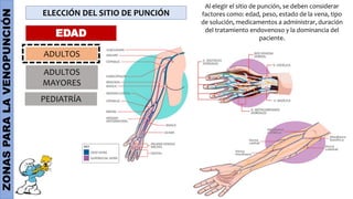 ZONAS
PARA
LA
VENOPUNCIÓN
ELECCIÓN DEL SITIO DE PUNCIÓN
Al elegir el sitio de punción, se deben considerar
factores como: edad, peso, estado de la vena, tipo
de solución, medicamentos a administrar, duración
del tratamiento endovenoso y la dominancia del
paciente.
EDAD
ADULTOS
ADULTOS
MAYORES
PEDIATRÍA
 