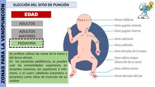 ZONAS
PARA
LA
VENOPUNCIÓN ELECCIÓN DEL SITIO DE PUNCIÓN
EDAD
ADULTOS
ADULTOS
MAYORES
PEDIATRÍA
Se prefiere utilizar las venas de la mano y
del dorso del pie.
En los pacientes pediátricos, se pueden
usar las extremidades superiores; en
lactantes menores, las superiores e infe-
riores, o el cuero cabelludo (neonatos o
lactantes) como sitios de inserción de un
catéter
 