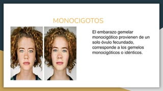 MONOCIGOTOS
El embarazo gemelar
monocigótico provienen de un
solo óvulo fecundado,
corresponde a los gemelos
monocigóticos o idénticos.
 