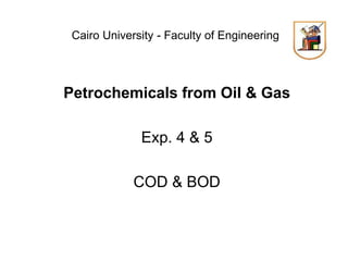 Cairo University - Faculty of Engineering
Petrochemicals from Oil & Gas
Exp. 4 & 5
COD & BOD
 