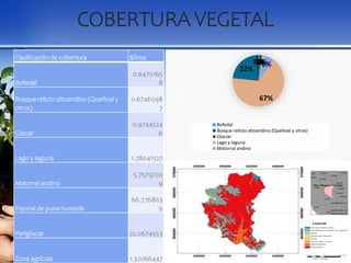 COBERTURA VEGETAL
Clasificación de cobertura %Área
Bofedal
0.6475165
8
Bosque relicto altoandino (Queñoal y
otros)
0.6746598
7
Glaciar
0.9744524
6
Lago y laguna 1.78041527
Matorral andino
5.7579720
9
Pajonal de puna humeda
66.776863
9
Periglaciar 22.0674553
Zona agrícola 1.32066447
0%
1%
1%
2%
6%
67%
22%
1%
Bofedal
Bosque relicto altoandino (Queñoal y otros)
Glaciar
Lago y laguna
Matorral andino
 