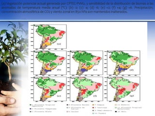 (a) Vegetación potencial actual generada por CPTEC-PVM2, y sensibilidad de la distribución de biomas a las
anomalías de temperatura media anual (°C): (b) -2; (c) -4; (d) -6; (e) +2; (f) +4; (g) +6. Precipitación,
concentración atmosférica de CO2 y viento zonal en 850 hPa son mantenidos inalterados.
 