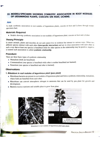 helpful documents for  project experiments of biology of class 12