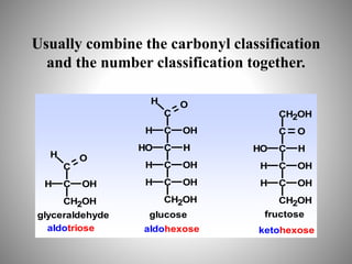 Usually combine the carbonyl classification
and the number classification together.
C
O
H
C OH
H
CH2OH
glyceraldehyde
aldotriose
C
O
H
C OH
H
C H
HO
C OH
H
C OH
H
CH2OH
CH2OH
C O
C H
HO
C OH
H
C OH
H
CH2OH
glucose fructose
aldohexose ketohexose
 