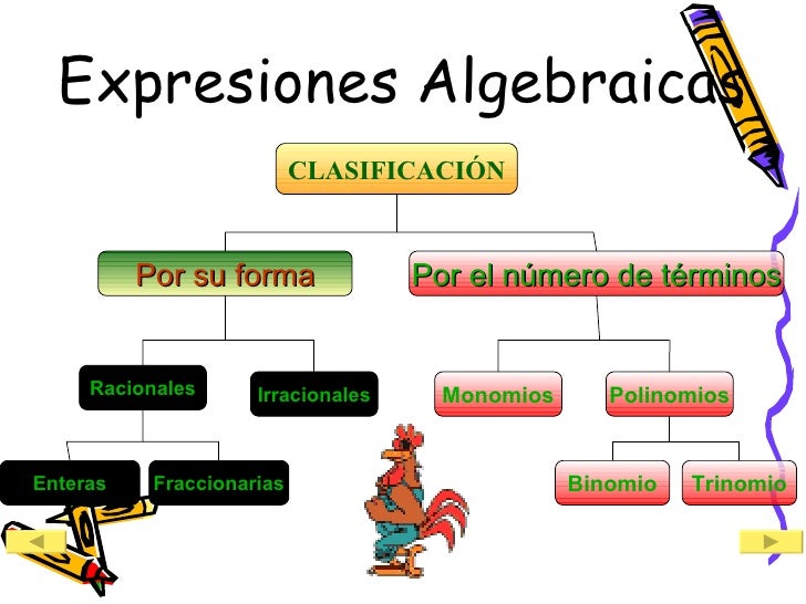 expresiones algebraicas