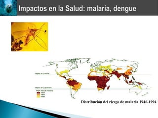 Distribución del riesgo de malaria 1946-1994
 
