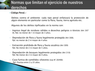 • Código Penal.-

 Delitos contra el ambiente: cada tipo penal enfatizará la protección de
 algún elemento en particular como la flora, fauna, tierra agrícola etc.

 Algunos de los delitos tipificados en la norma son:

- Ingreso ilegal de residuos sólidos o desechos peligros o tóxicos (Art 307
  A). Ppl. no menor de 1 ni mayor de 3 años.

- Depredación de flora y fauna legalmente protegida (Art 308).
  Ppl. no menor de 2 ni mayor de 4 años

- Extracción prohibida de flora y fauna acuática (Art 309)
  Ppl. No menor de 2 ni mayor de 5 años.

- Depredación de bosques legalmente protegidos (Art 310)
  Ppl. No menor de 2 ni mayor de 4 años.

- Caza furtiva de camélidos silvestres (Ley N° 26496)
   Ppl. Fluctúa entre 2 y 25 años.
 