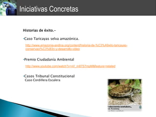Iniciativas Concretas

 Historias de éxito.-

 •Caso Taricayas selva amazónica.
  http://www.amazonia-andina.org/content/historia-de-%C3%A9xito-taricayas-
  conservaci%C3%B3n-y-desarrollo-video


 •Premio Ciudadanía Ambiental
  http://www.youtube.com/watch?v=xV_m87S7mpM&feature=related


 •Casos Tribunal Constitucional
  Caso Cordillera Escalera
 