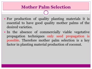 Mother Palm Selection
 For production of quality planting materials it is
essential to have good quality mother palms of the
desired varieties.
 In the absence of commercially viable vegetative
propagation techniques only seed propagation is
possible. Therefore mother palm selection is a key
factor in planting material production of coconut.
 