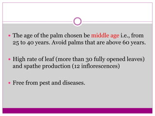  The age of the palm chosen be middle age i.e., from
25 to 40 years. Avoid palms that are above 60 years.
 High rate of leaf (more than 30 fully opened leaves)
and spathe production (12 inflorescences)
 Free from pest and diseases.
 