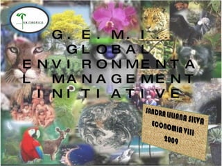 G.E.M.I. GLOBAL ENVIRONMENTAL MANAGEMENT INITIATIVE 
