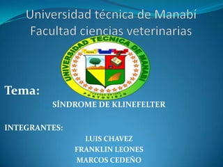 Tema:
SÍNDROME DE KLINEFELTER
INTEGRANTES:
LUIS CHAVEZ
FRANKLIN LEONES
MARCOS CEDEÑO
 