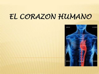 EL CORAZON HUMANO
 