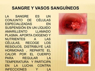 SANGRE Y VASOS SANGUÍNEOS
LA SANGRE ES UN
CONJUNTO DE CÉLULAS
ESPECIALIZADAS EN
SUSPENSIÓN EN UN LÍQUIDO
AMARILLENTO LLAMADO
PLASMA. APORTA OXÍGENO Y
NUTRIENTES A LAS
CÉLULAS, RECOGE LOS
RESIDUOS, DISTRIBUYE LAS
HORMONAS , REPARTE EL
CALOR POR EL CUERPO
PARA REGULAR LA
TEMPERATURA Y PARTICIPA
EN LA LUCHA CONTRA
INFECCIONES Y LA
 