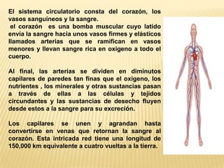 El sistema circulatorio consta del corazón, los
vasos sanguíneos y la sangre.
el corazón es una bomba muscular cuyo latido
envía la sangre hacia unos vasos firmes y elásticos
llamados arterias que se ramifican en vasos
menores y llevan sangre rica en oxigeno a todo el
cuerpo.
Al final, las arterias se dividen en diminutos
capilares de paredes tan finas que el oxigeno, los
nutrientes , los minerales y otras sustancias pasan
a través de ellas a las células y tejidos
circundantes y las sustancias de desecho fluyen
desde estos a la sangre para su excreción.
Los capilares se unen y agrandan hasta
convertirse en venas que retornan la sangre al
corazón. Esta intricada red tiene una longitud de
150,000 km equivalente a cuatro vueltas a la tierra.
 