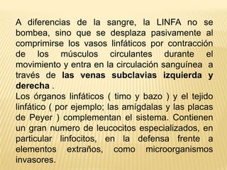 A diferencias de la sangre, la LINFA no se
bombea, sino que se desplaza pasivamente al
comprimirse los vasos linfáticos por contracción
de los músculos circulantes durante el
movimiento y entra en la circulación sanguínea a
través de las venas subclavias izquierda y
derecha .
Los órganos linfáticos ( timo y bazo ) y el tejido
linfático ( por ejemplo; las amígdalas y las placas
de Peyer ) complementan el sistema. Contienen
un gran numero de leucocitos especializados, en
particular linfocitos, en la defensa frente a
elementos extraños, como microorganismos
invasores.
 