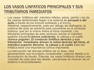LOS VASOS LINFATICOS PRINCIPALES Y SUS
TRIBUTARIOS INMEDIATOS
 Los vasos linfáticos del miembro inferior, pelvis, periné y los de
las viseras abdominales llegan a la cisterna de pecquet o del
quilo a través de los troncos lumbares y el tronco
intestinal, respectivamente, justo por debajo del diafragma, la
cisterna del quilo se estrecha para convertirse en el conducto
torácico, que por si mismo drena el tórax izquierdo. Los
tributarios principales de este conducto drenan el miembro
superior izquierdo(tronco subclavio), la cabeza y el cuello
(tronco yugular) .El conducto linfático derecho y sus
tributarios inmediatos drenan la mitad derecha del tórax, el
miembro superior derecho la cabeza y el cuello Esta red
linfática tiene una importancia clínica importante.
 La interrupción del drenaje linfático de un área, crea
generalmente una hinchazón considerable ( edema) debido a la
acumulación de liquido. Edemas, los vasos linfáticos ofrecen una
variedad de rutas para las células cancerosas se muevan de un
sistema a otro(metastasis)
 
