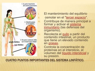 CUATRO PUNTOS IMPORTANTES DEL SISTEMA LINFÁTICO.
I. El mantenimiento del equilibrio
II. osmolar en el "tercer espacio".
III. Contribuye de manera principal a
formar y activar el sistema
inmunitario (las defensas del
organismo).
IV. Recolecta el quilo a partir del
contenido intestinal, un producto
que tiene un elevado contenido
en grasas.
V. Controla la concentración de
proteínas en el intersticio, el
volumen del líquido intersticial y
su presión.
 