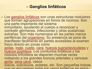  Ganglios linfáticos
 Los ganglios linfáticos son unas estructuras nodulares
que forman agrupaciones en forma de racimos. Son
una parte importante del sistema
inmunitario, ayudando al cuerpo a reconocer y
combatir gérmenes, infecciones y otras sustancias
extrañas. Son más numerosos en las partes menos
periféricas del organismo. Su presencia se pone de
manifiesto fácilmente en partes accesibles al examen
físico directo en zonas como
axilas, ingle, cuello, cara, huecos supraclaviculares y
huecos poplíteos. Los conductos linfáticos y los
nódulos linfoideos se disponen muchas veces
rodeando a los grandes troncos arteriales y venosos
aorta, vena cava, vasos
ilíacos, subclavios, axilares, etc. Son pequeñas bolsas
 