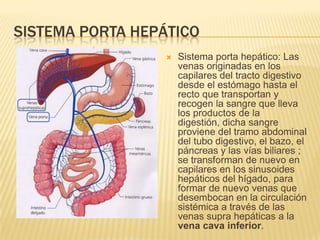 SISTEMA PORTA HEPÁTICO
 Sistema porta hepático: Las
venas originadas en los
capilares del tracto digestivo
desde el estómago hasta el
recto que transportan y
recogen la sangre que lleva
los productos de la
digestión, dicha sangre
proviene del tramo abdominal
del tubo digestivo, el bazo, el
páncreas y las vías biliares ;
se transforman de nuevo en
capilares en los sinusoides
hepáticos del hígado, para
formar de nuevo venas que
desembocan en la circulación
sistémica a través de las
venas supra hepáticas a la
vena cava inferior.
 