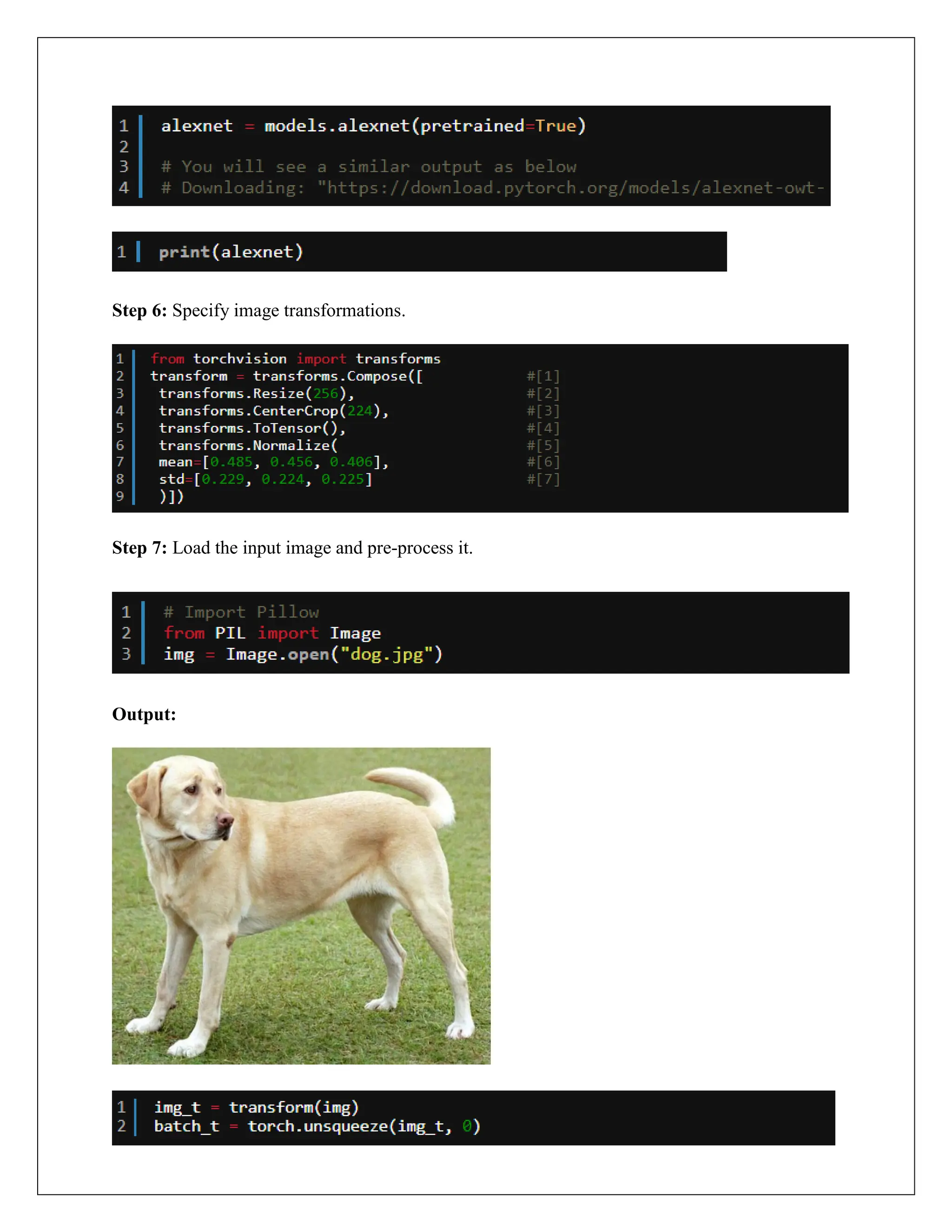 Step 6: Specify image transformations.
Step 7: Load the input image and pre-process it.
Output:
 