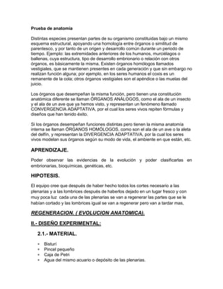 Prueba de anatomía

Distintas especies presentan partes de su organismo constituidas bajo un mismo
esquema estructural, apoyando una homología entre órganos o similitud de
parentesco, y por tanto de un origen y desarrollo común durante un periodo de
tiempo. Ejemplo: las extremidades anteriores de los humanos, murciélagos o
ballenas, cuya estructura, tipo de desarrollo embrionario o relación con otros
órganos, es básicamente la misma. Existen órganos homólogos llamados
vestigiales, que se mantienen presentes en cada generación y que sin embargo no
realizan función alguna; por ejemplo, en los seres humanos el coxis es un
remanente de la cola; otros órganos vestigiales son el apéndice o las muelas del
juicio.

Los órganos que desempeñan la misma función, pero tienen una constitución
anatómica diferente se llaman ÓRGANOS ANÁLOGOS, como el ala de un insecto
y el ala de un ave que ya hemos visto, y representan un fenómeno llamado
CONVERGENCIA ADAPTATIVA, por el cual los seres vivos repiten fórmulas y
diseños que han tenido éxito.

Si los órganos desempeñan funciones distintas pero tienen la misma anatomía
interna se llaman ÓRGANOS HOMÓLOGOS, como son el ala de un ave o la aleta
del delfín, y representan la DIVERGENCIA ADAPTATIVA, por la cual los seres
vivos modelan sus órganos según su modo de vida, el ambiente en que están, etc.

APRENDIZAJE.
Poder observar las evidencias de la evolución y poder clasificarlas en
embrionarias, bioquímicas, genéticas, etc.

HIPOTESIS.
El equipo cree que después de haber hecho todos los cortes necesario a las
plenarias y a las lombrices después de haberlos dejado en un lugar fresco y con
muy poca luz cada una de las plenarias se van a regenerar las partes que se le
habían cortado y las lombrices igual se van a regenerar pero van a tardar mas,

REGENERACION. ( EVOLUCION ANATOMICA).

II.- DISEÑO EXPERIMENTAL:

   2.1.- MATERIAL.
      Bisturí
      Pincel pequeño
      Caja de Petri
      Agua del mismo acuario o depósito de las plenarias.
 