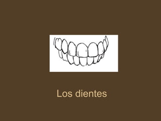 Los dientes 