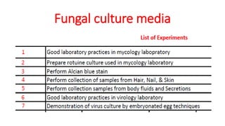 Fungal culture media
 