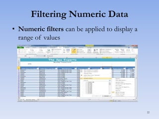 Filtering Numeric Data
• Numeric filters can be applied to display a
range of values

22

 