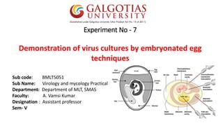 Experiment No - 7
Demonstration of virus cultures by embryonated egg
techniques
Sub code: BMLT5051
Sub Name: Virology and mycology Practical
Department: Department of MLT, SMAS
Faculty: A. Vamsi Kumar
Designation : Assistant professor
Sem- V
 