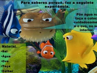 Para saberes porquê, faz a seguinte
experiência.
Material
•Sal
•Água
•Ovo
•Taça
•Colher
Põe água na
taça e coloc
cuidadosame
e o ovo, no se
interior.
 